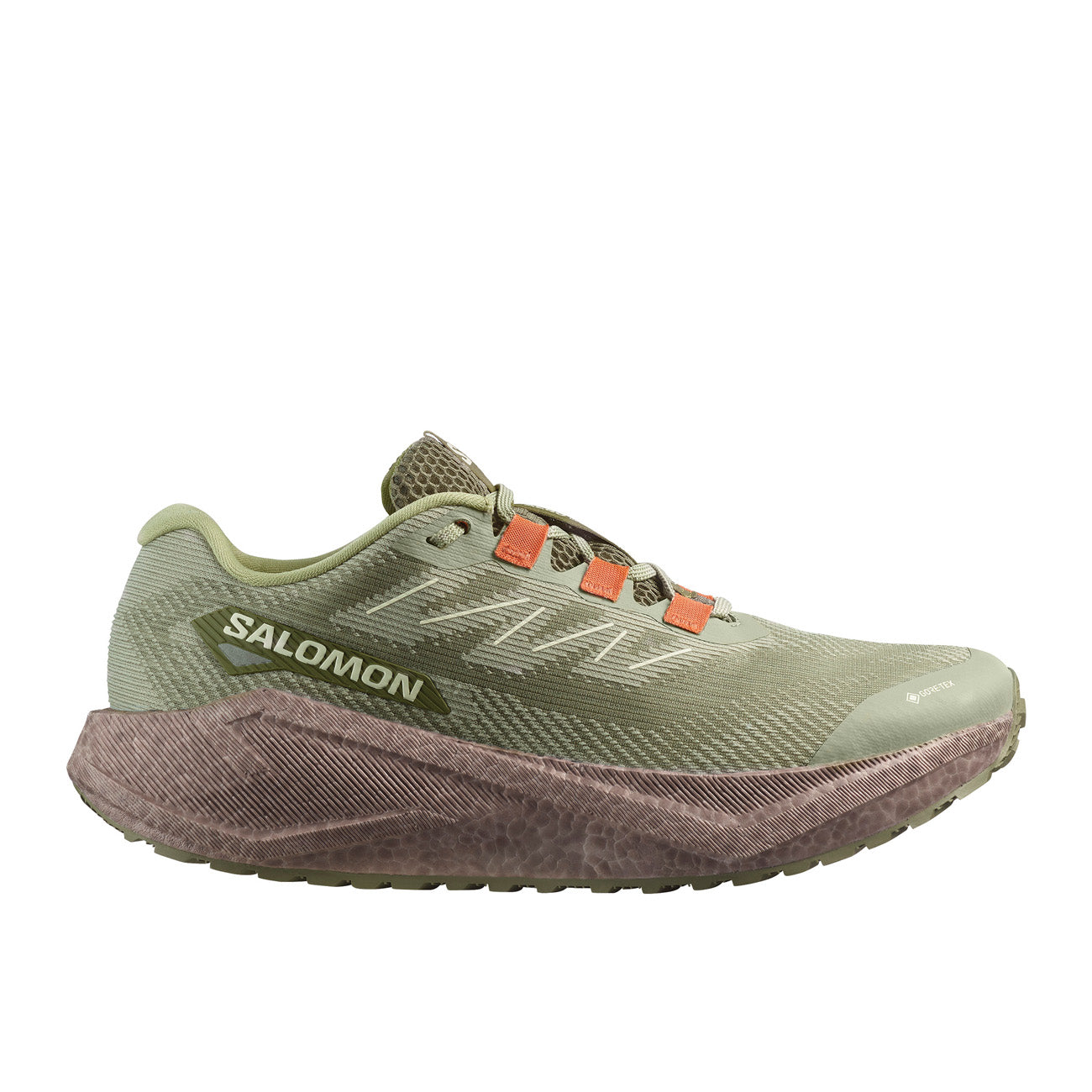 Salomon Aero Blaze 3 GRVL GTX Tea Iron