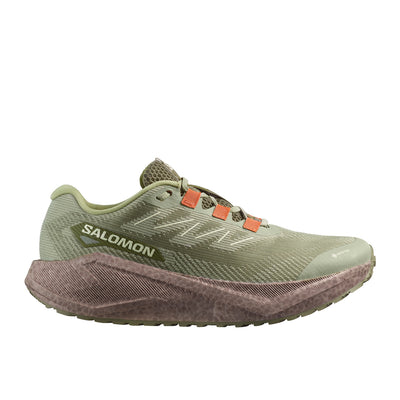 Salomon Aero Blaze 3 GRVL GTX Tea Iron