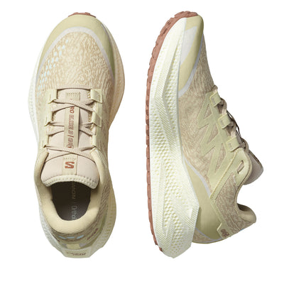 Salomon Aero Glide 3 GRVL Herren Green Vanila Russet