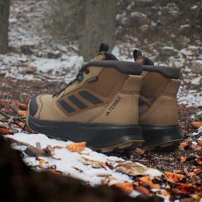 adidas Terrex Winter Boot Herren Cardboard Carbon Bronze Strata