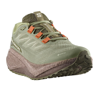 Salomon Aero Blaze 3 GRVL GTX Tea Iron