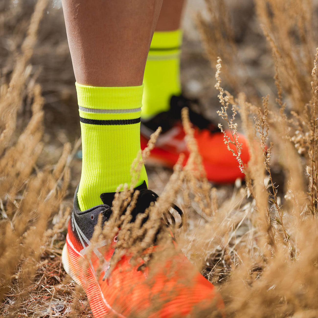 Incylence High Viz V1 Socks Canary