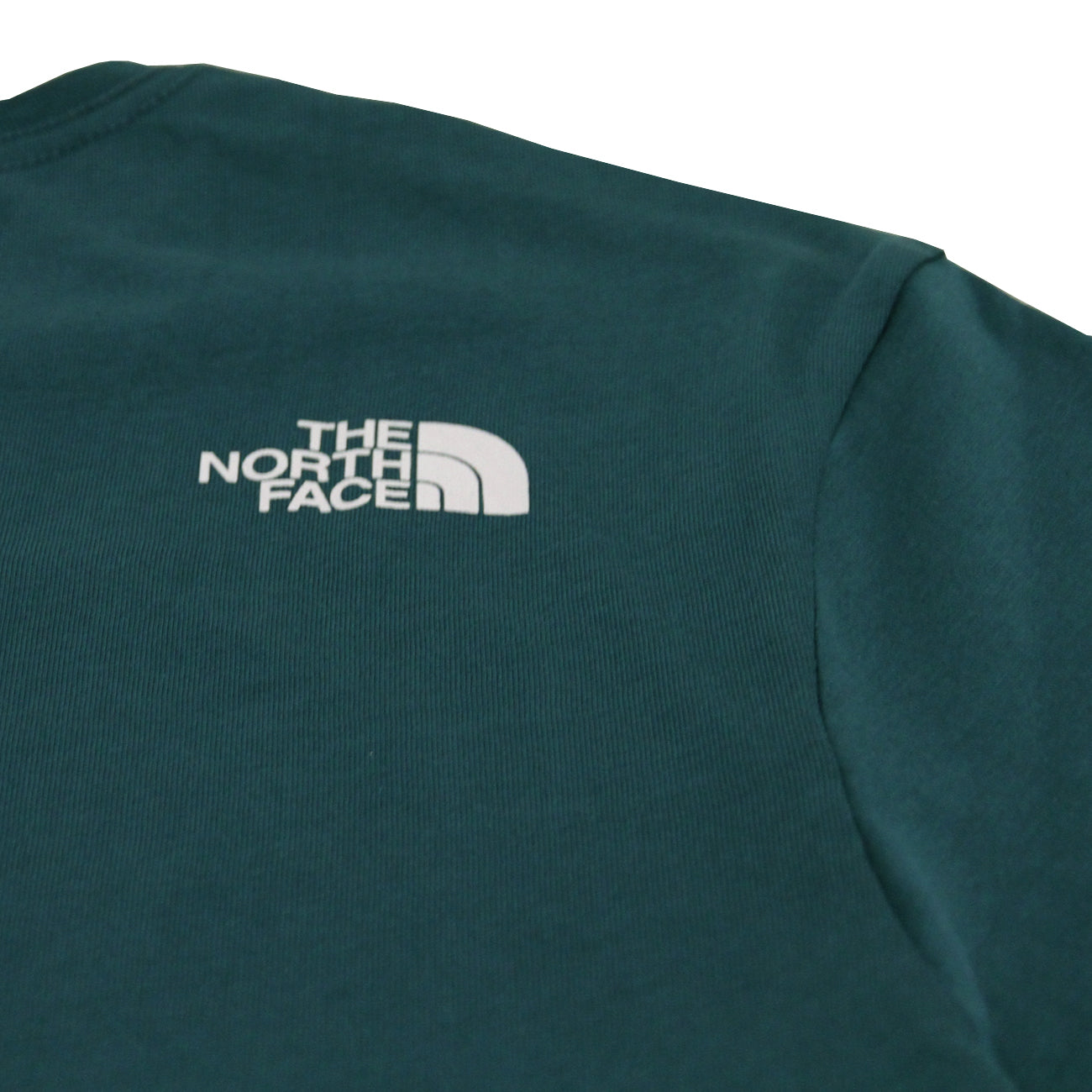 The North Face M Mountain Line T-Shirt Herren Monterey Blue TNF White